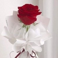 ابومحمد (@abwmhmd44888399) Twitter profile photo