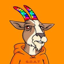 TheCryptoWolf7's profile picture. searching for angel investors