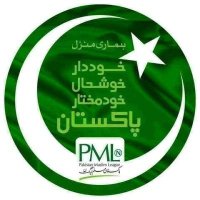 PML-N Team(@PMLNTeamPK) 's Twitter Profile Photo