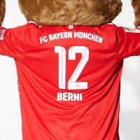 Maskottchen Berni (@fcberni12) 's Twitter Profile