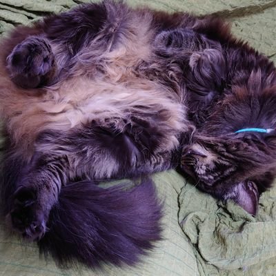 sxUXCuULX59Yud8's profile picture. 好きなもの
猫🐱
鹿島アントラーズ🦌
サンシャイン池崎☀
漫画📕
クロマニヨンズ🙊
MAN WITH A MISSION🐺
ガンダム🤖
キン肉マン💪