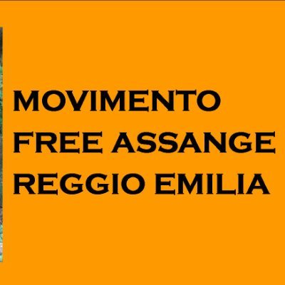 Julian Assange  siamo con Te, valoroso Uomo!