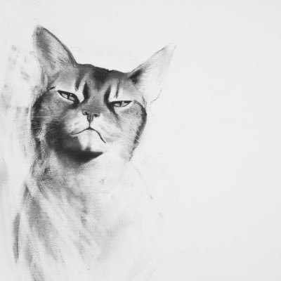 Animal artist focusing on charcoal, pastel