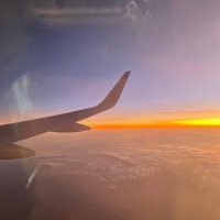 avyanarya (@aryaavyan) 's Twitter Profile