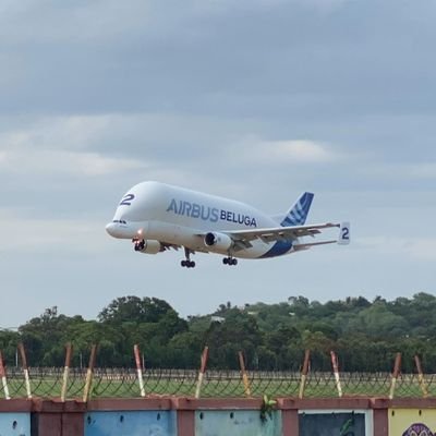 anir3la's profile picture. Love's in the Air ✈️🚀