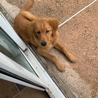 PPrepps's profile picture. Hiiiiiii I'm new