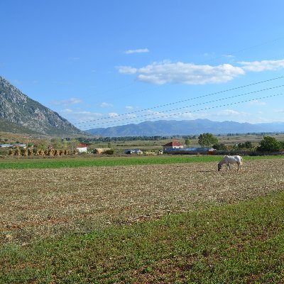 Investigating Neolithic settlements in the Korça plain via geophysics, sondages, survey | University of Cologne, Institute of Archaeology Tirana, Uni at Buffalo