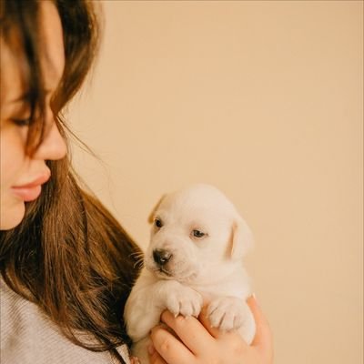 Допомога собакам Київ|Волонтери❤️🐕 Рятуємо та знаходимо дім 🐕Більше 1000 🐶 вже в родині 🥳Допомога ⬇️ Моно 4441 1144 5058 1515  PayPal DoggyKyiv@gmail.com