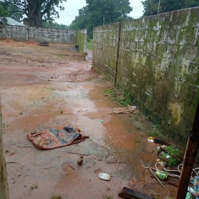 Momodou58177069's profile picture. I like painting an design