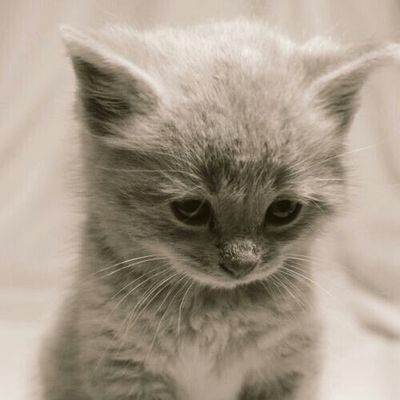 BiimanMSK's profile picture. ไบรุก บ้านๆ แมนๆ 178/75 มิตรภาพ จริงใจ 
#ผู้บ่าวอีสานหำใหญ่นะ

IG: hugmebii