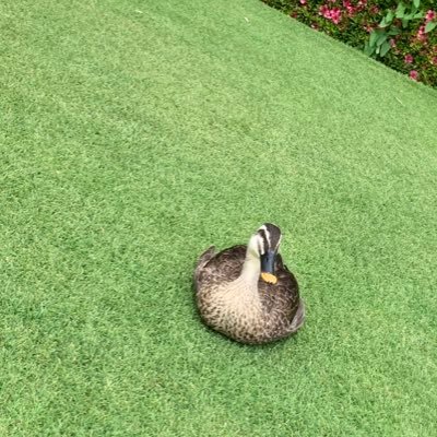 さんさいさんのプロフィール画像