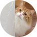 rym (@rymsec) Twitter profile photo rym (@rymsec) Twitter profile photo