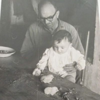 Pepteret's profile picture. Nascut de les cendres de la vida.
  Stones i  Martin Scorsese.
No es parla de política. Només curolles meves 😉
Coleccionista de juguetes i TBO antics