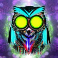 limb0wl 🦉👾 | Video Editor & 3D Artist (@limb0wl) 's Twitter Profile