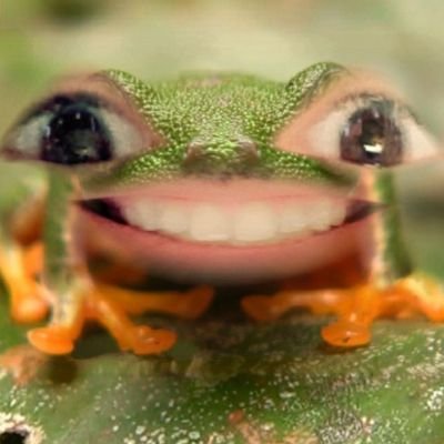 Dryazzwahter's profile picture. I'm a simple man really. I like pretty things and beans with rice.