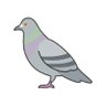 Hato_malu's profile picture. 高3
ちょっとガジェオタ
スプラトゥーン / スターレイル / 原神