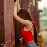 P⭐🔸L🔸⭐🔸O🔸⭐Y (@ploy48913097) 's Twitter Profile