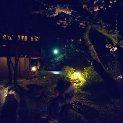 risotto36483458's profile picture. 