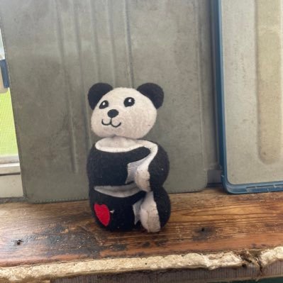 Thatguy85158384's profile picture. 