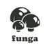 Funga (@fungaok) Twitter profile photo