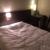 とどびー (@todoby1) 's Twitter Profile
