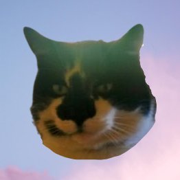 Je ne faves point vos touites, j'apprécie votre court passage dans mon existence.
Peu plus touitter - mon compte a été signalé comme spam…