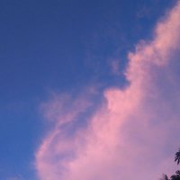 Sky (male) (@hollowkyle) 's Twitter Profile