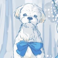 ぬまた (@numata_27) 's Twitter Profile