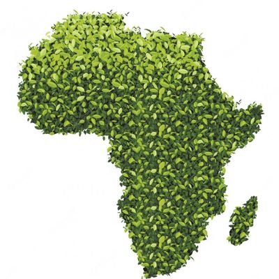 Fandjouman's profile picture. Que dire?