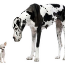 Janet Leech Jones - @JanetLeechJones - Twitter