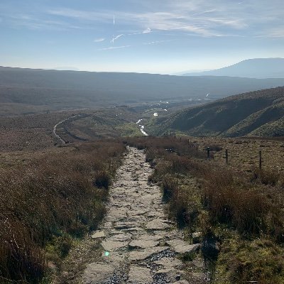 TagCraigy's profile picture. 