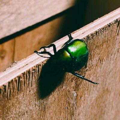 w110119's profile picture. 173/73