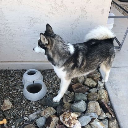 PedroGo23245167's profile picture. Girl