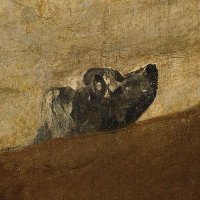 Marie Breeur (@breeurm) 's Twitter Profile