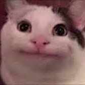 ARISTIFY π (@aristify2) 's Twitter Profile