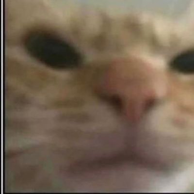 bitchdykedude's profile picture. they/he/she. bitch, dyke, dude.