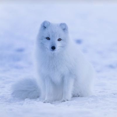 calvinKjunior's profile picture. 