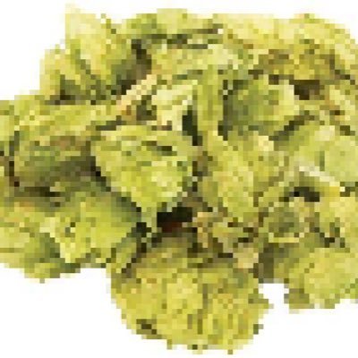 hazy_mosaic's profile picture. ラーメンとヘイジーでモザイクなビールが好き✌️