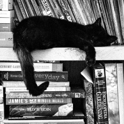 m_ohGH's profile picture. Communication Engineer