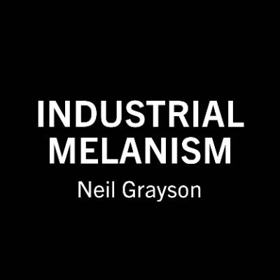 Industrial Melanism by proven artist, Neil Grayson, launching on @doodlelabs_io. Powered by @artblocks_io