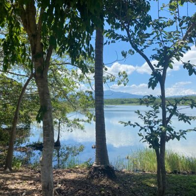 InvestNayarit's profile picture. Connecting investors to titled raw land in Northern Nayarit, Mexico.