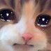 MissaCat (@missa_cat) Twitter profile photo MissaCat (@missa_cat) Twitter profile photo
