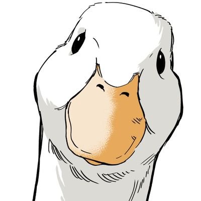 z466738586's profile picture. 