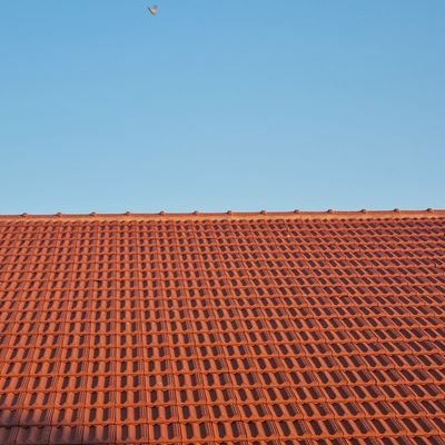 7a7elda's profile picture. Agnostico ma con una certezza Gobba...