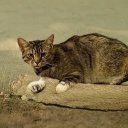 Granger Frank - @GrangerFrank2 - Twitter