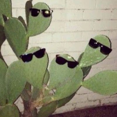 ScottLa84054164's profile picture. Fc