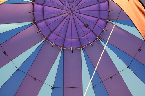 slapdash's profile picture. 