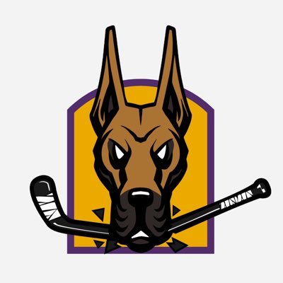 ACHA Mens Division 2. - UNYCHL. Give our Instagram a follow: @ualbany_hockey