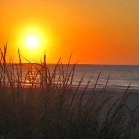 LadyWritesalot86 (@writesalot86) 's Twitter Profile