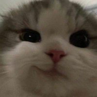 Xander (@_xanderddy) 's Twitter Profile